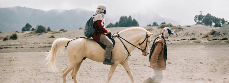 Graceful as the wind powerful.